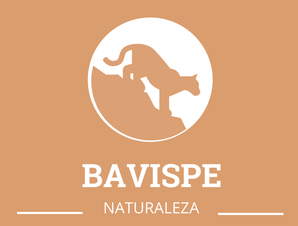 Bavispe Naturaleza en tus manos